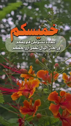 #صباح_الخير #الخميس_الونيس #الخميس #صباح #يوم_الخميس 
