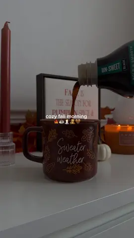 cozy morning like this are so comforting 🍂🧸🕯️🤎 #morningroutine #cozymorning #fyp #fallvibes🍂 #aestheticvideos  morning, morning routine, clean girl morning routine, grwm morning routine, morning routine aesthetic, school morning routines, morning routine realistic, after school routine, Morning Routine Ideas, morning routines for school, aesthetic morning routine, grwm for school, Productive morning routine, Morning routine vlog, 2025 morning, Bodycare routine, 5 am morning routine, morning routine motivation, Morning vlog, Aesthetic routine, Rainy morning routine, Skincare Routine, Fall, cozy, cozy season, autumn vibes, fall aesthetic, pumpkin season, gilmore girls, falltok, fall vibes, autumn, autumn vibes, cozy autumn, fall nights, cozyathome, cozy home, fall aesthetic, fall season, autumn aesthetic, cozy fall vibes, fall 2025, fall shopping, fall finds, fall decor, fall room decor, cozy girI vibes, fall cozy vibes, fall girl aesthetic, cozy vlog, cozytok, spooky season, spookyszn, cozy fall aesthetic, cozy fall decor, fall outfits, fall haul, fall audio, fall wishlist, fall sounds audio, fall outfits 2025, fall decor, autumn outfits, autumn sounds, autumn in New York, autumn season  @American Eagle @SHEIN @SHEINUS @Bath & Body Works @Amazon @Amazon Home @Hobby Lobby @stokcoldbrew @Chobani @International_Delight @Netflix 