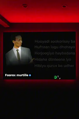 Hablaha soomaaliyeed 🫶🤍❤️#jawi_bila🌊❤️🌴 #lyrics_songs #somalimusic #somalitiktok 