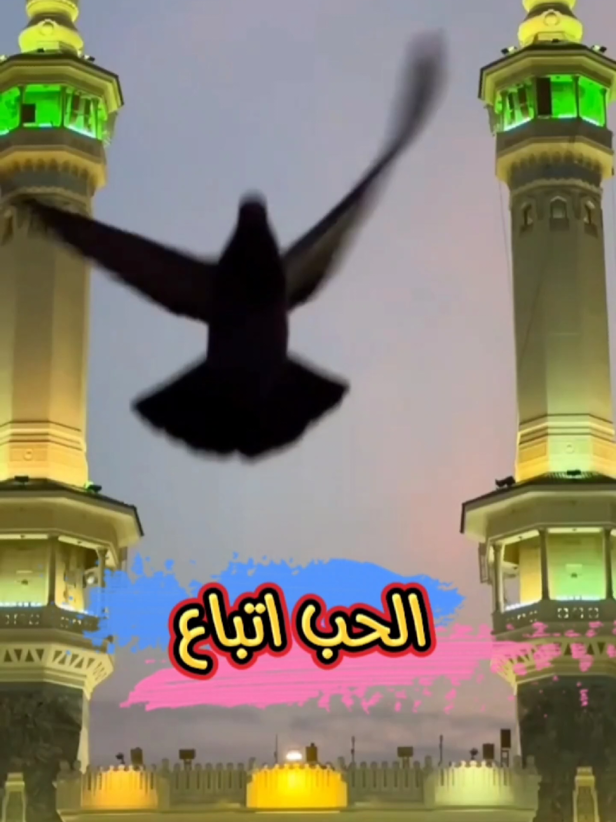الحب إتباع إن محمداً ﷺ يطالبكم بأقامة الدين  #المولد_النبوي #المولد_النبوي_الشريف #حالات_دينية #فوائد_وعبر 
