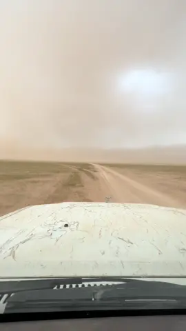 #الشيعة 