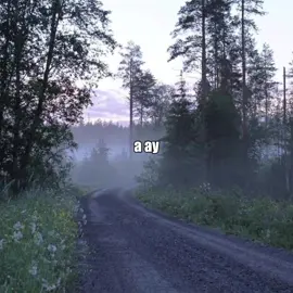 зая - бамбинтон, я звоню в последний миг...// #song #песня #язвонювпоследниймиг #текстпесни #chinese 