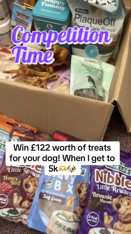 Follow, like and repost 🫶🐶 #dogpack #dogsoftiktokviral #dogsoftiktok #happydog #competiton 