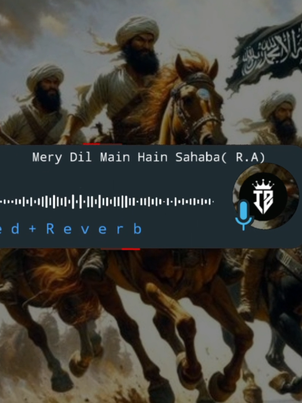 Mery Dil Main Hain Sahaba r.a Sary 🥰Ashab Lover Repost Full Slowed Reverb Naat 🎧 #itxzubair #unfreezmyaccout #slowedreverb #Naat #viral 