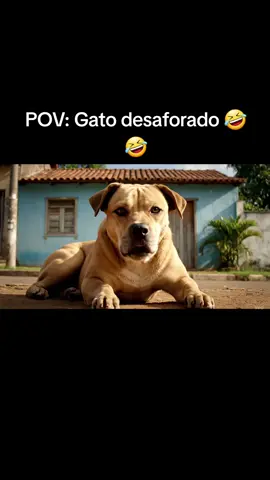 Esse caramelo não tem sossego 🤣🤣
