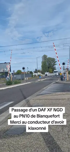 DAF XG NGD