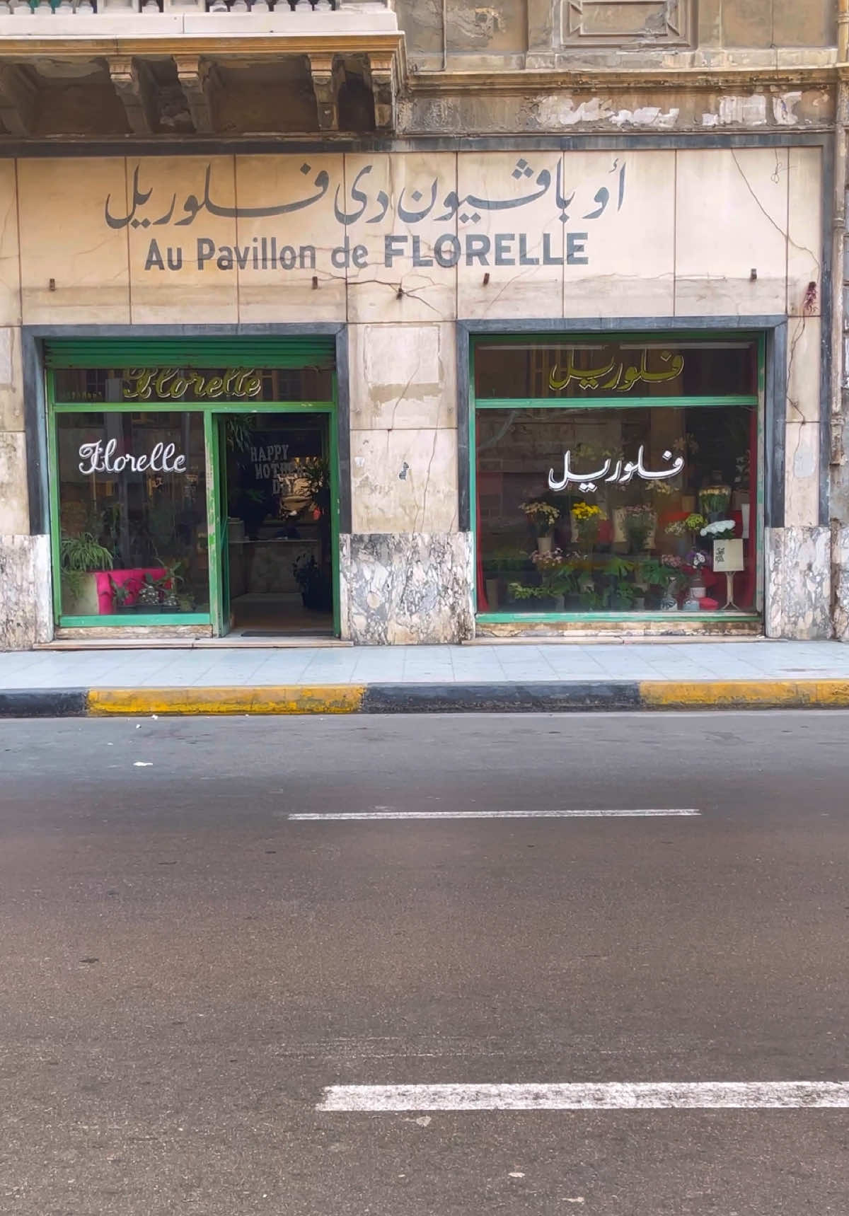 #اسكندريه #fyp #mounir 