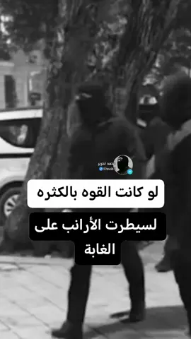 #العراق #اكسبلور #fyp #ezeleyşan  ‏#قوات_خاصه_عراقيه🇮🇶💪 