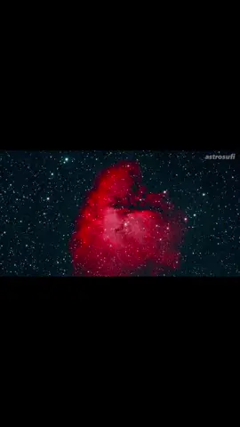 ✨ The Pac-Man Nebula (NGC 281) ✨ Located about 9,200 light-years away in the constellation Cassiopeia, this emission nebula glows brightly with hydrogen gas and is home to newborn stars, dark dust lanes, and stellar nurseries. 🪐 Captured over 8 hours and 30 minutes of exposure time — patience really pays off when photographing deep space! 🌌👾 #pacmannebula #NGC281 #astrophotography #deepsky #space 
