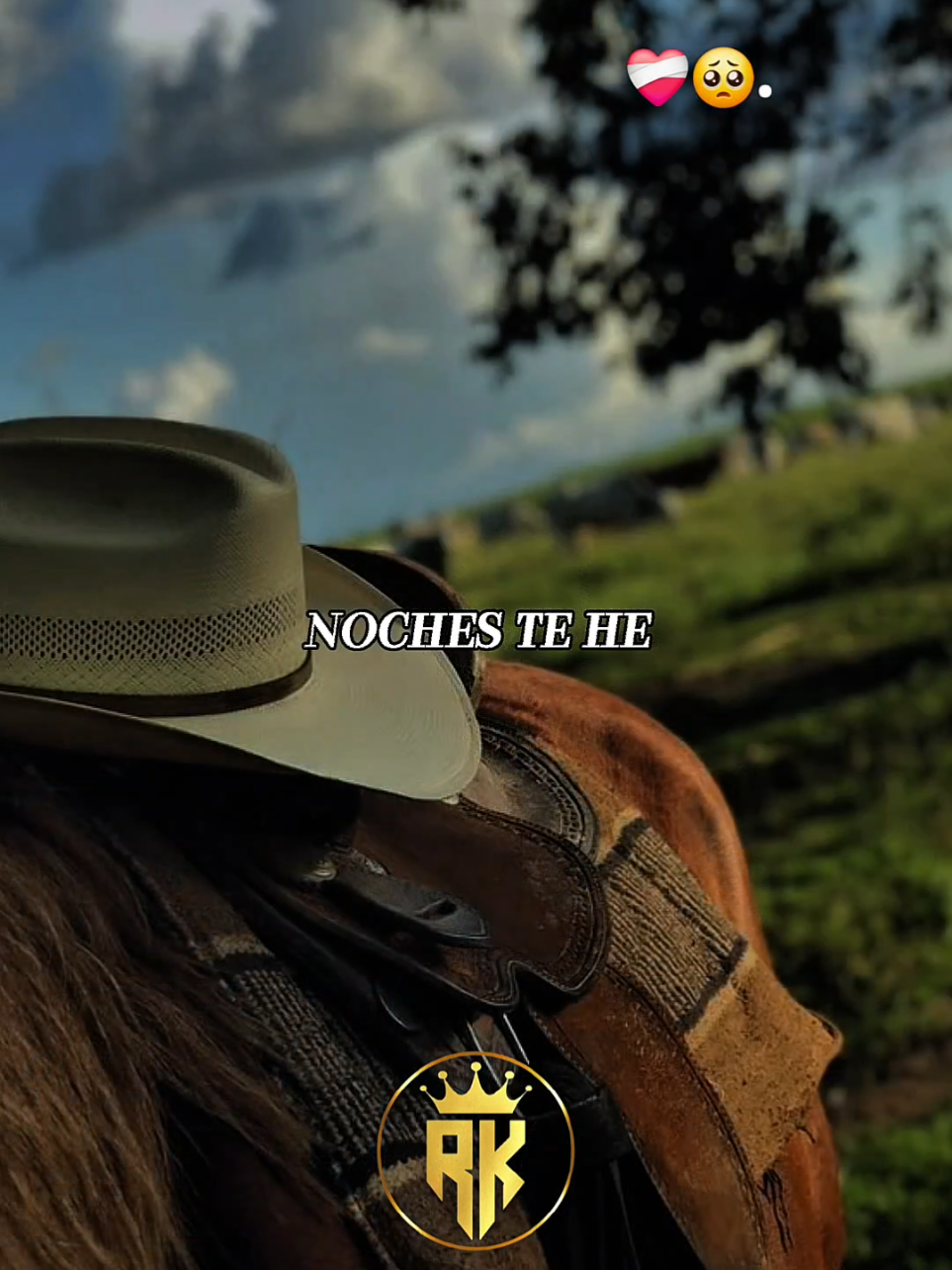 Sil Lugar a Dudas - El Trono De Mexico #regionalmexicano #paratii #musica #Viral #fyp 