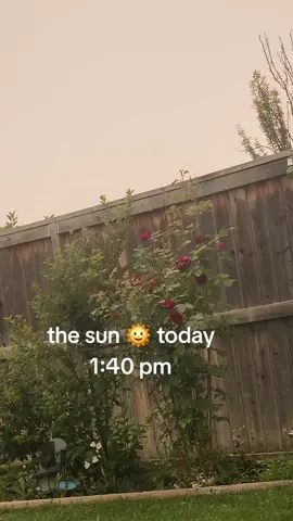 #tiktokerincanada🇨🇦❤️🇵🇭 #bicolanangadventurer #yyccalgary #sun #yyc 