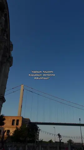 “toplayın, hayatımı kopyalayın. dertlerime dokunmayın”