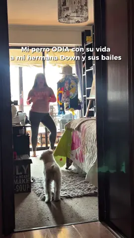 Napoleón, el perro más inclusivo😍