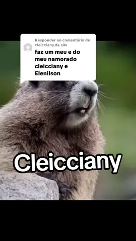 A responder a @cleicciany.da.silv que Deus abençoe o namoro de vcs. #marmota #gritanome #fyp #marmota #marmotagritandonomes 