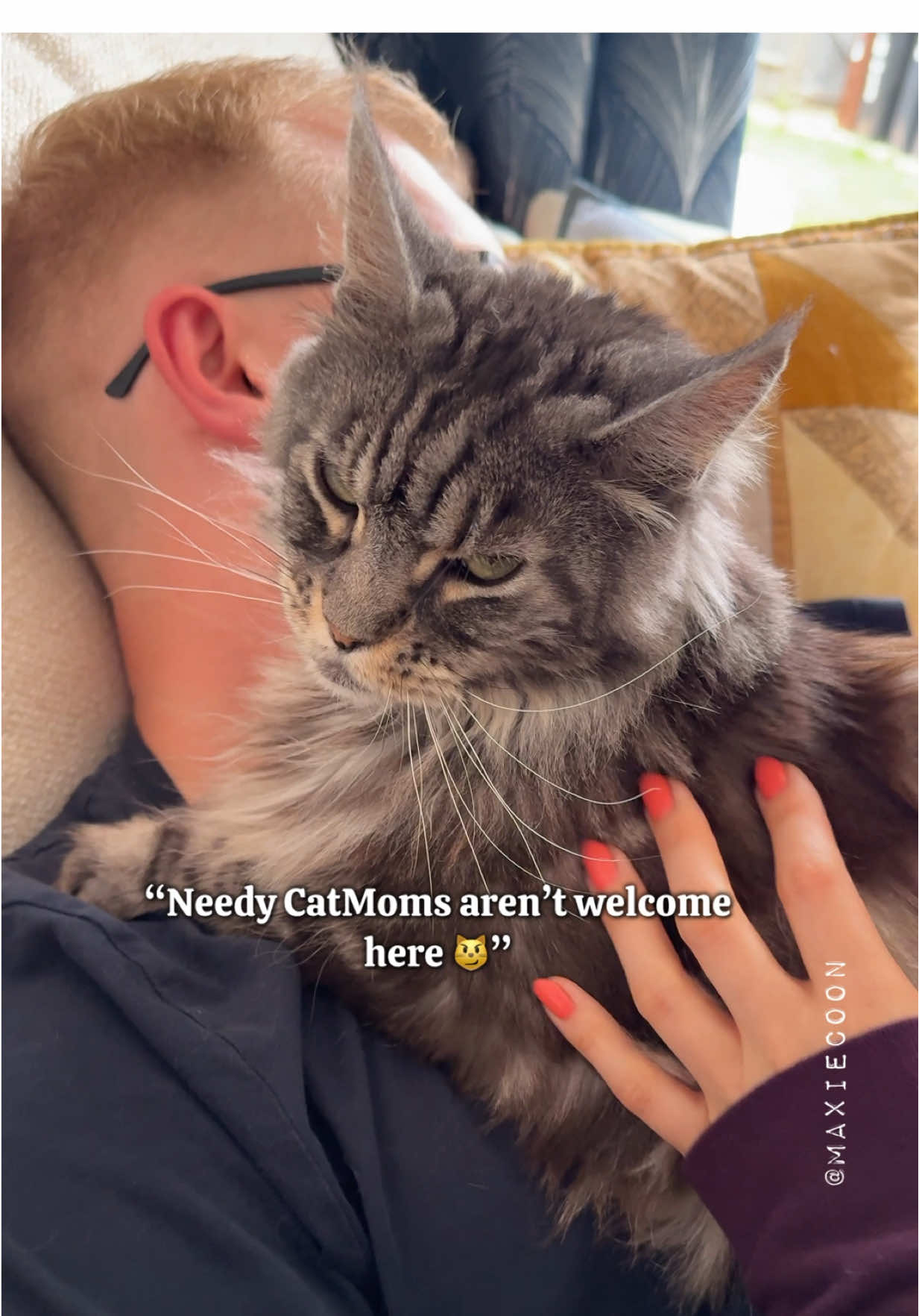 🔊Her Bombastic Side Eye 😼 with Dangerous Purring 🖤 #catmomlife #catdad #mainecooncat #maxiecoon 