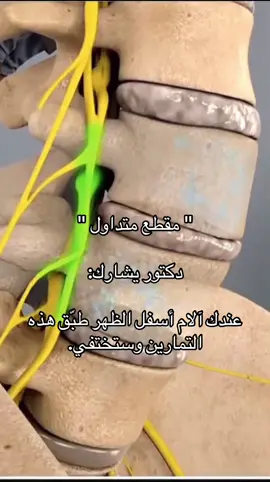 #دكتور_يشارك_عندك_الام_اسفل_الظهر_طبق_هذه_التمارين🤍 