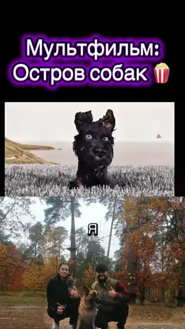 Мультфильм#собака #амина #amina #суровый 
