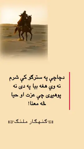 #دچاچې په سترګو کی شرم نه وي  هغه بیا په دی نه پوهیږې چی عزت او حیا څه معنا! #foryou 