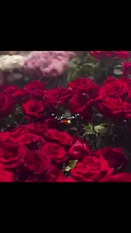 يجنننن😭✨.#fypviralシツ♡ #اكسبلورexplore #fypviralシツ♡love🐰❤🥀🌍️ #fyppppppppppppppppppppppp 