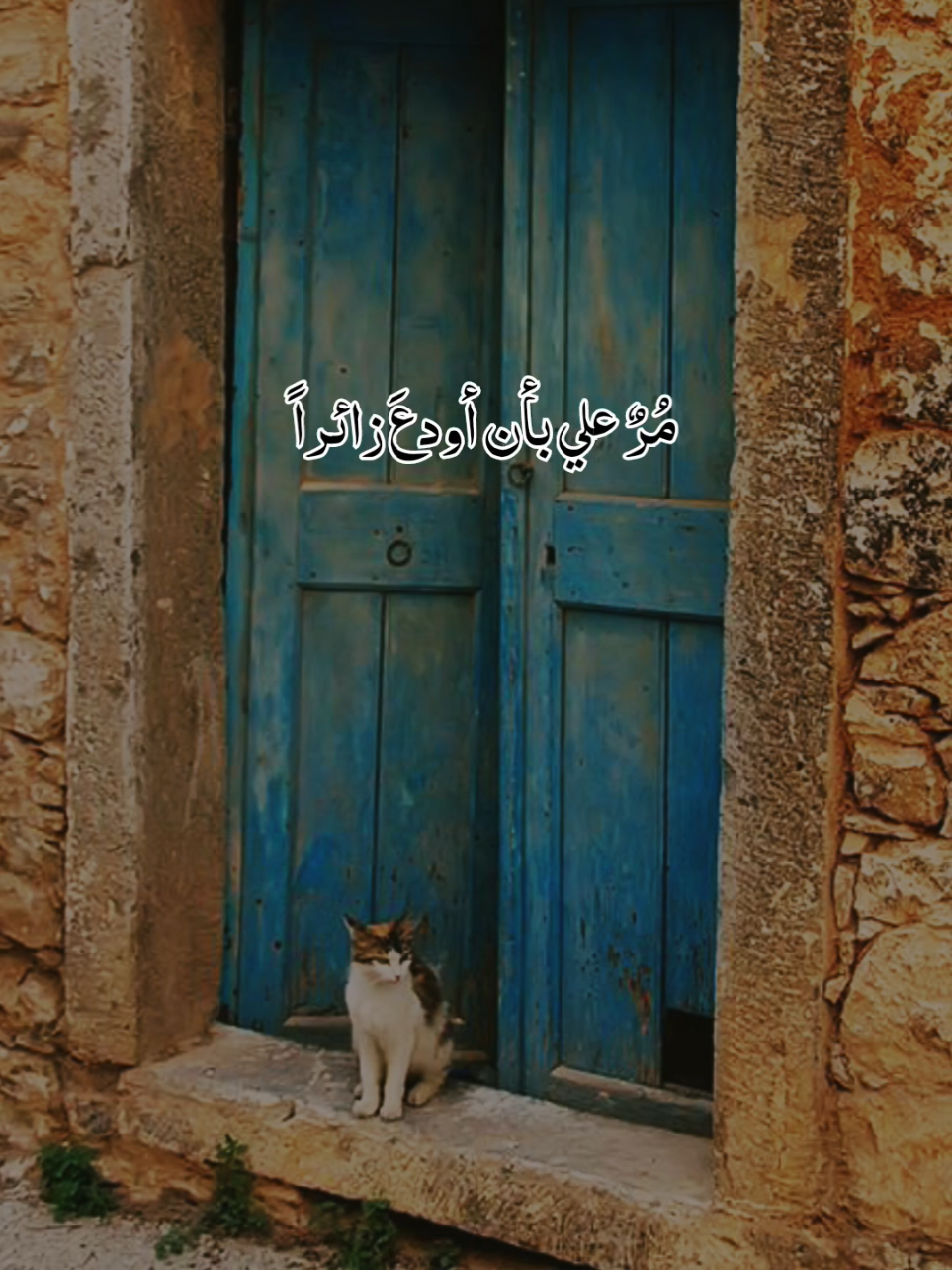 ورجوتُ عيني أن تكُفَ دموعها🥹 #مؤثر #foryoupage #أكسبلور #لايك__explore___ #viraltiktok @🥀نٌےـسًےـمِےـة هےـِدُوُء🌹 @🥀نٌےـسًےـمِےـة هےـِدُوُء🌹 @🥀نٌےـسًےـمِےـة هےـِدُوُء🌹 @أصيل الأشعري🎙️ 