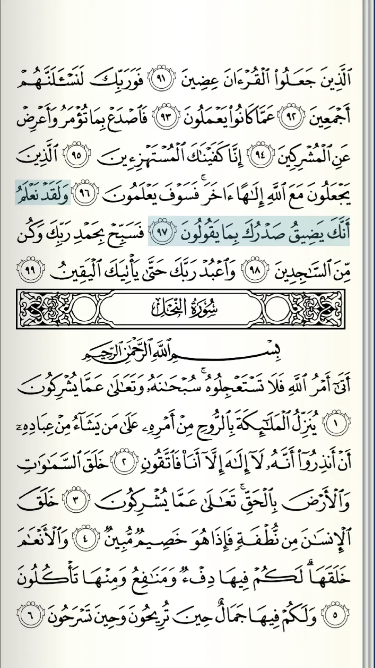 #القرأن_حياة_quranislife #هيثم_الدخين 