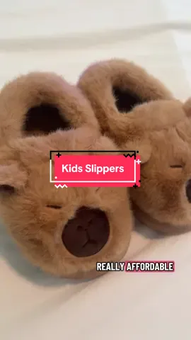 Replying to @lyss cute and affordable! Makes me feel better not spending a fortune on something he will outgrow anyway! #slippers #kidshoes #fuzzyslippers #giftsforkids #toddlershoes 