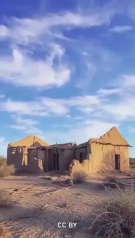 #عجاج  #بدون_موسيقى  بيت الردي كلمات الشاعر / حمد بن فرجه العليي العبيدي واداء المنشد / علي معيض الزهيري