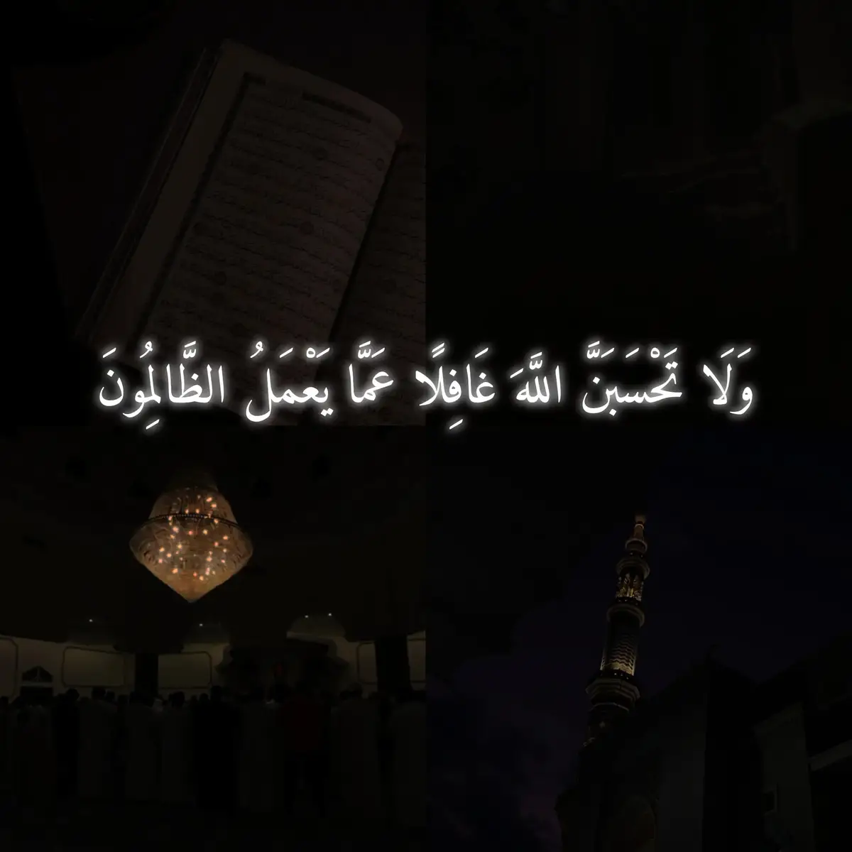 #foryou #explore #explore #أحمد_النفيس #قران 