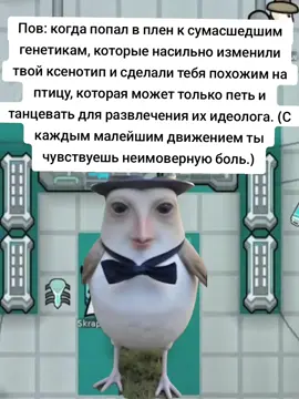 #римворлдмемы #римворлд #rimworld #rimworldmemes #rimworldrussia 
