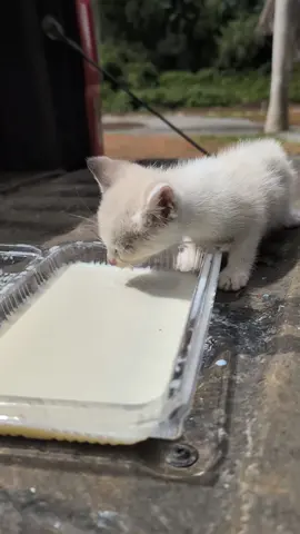 don't worry guys it's raw milk 
