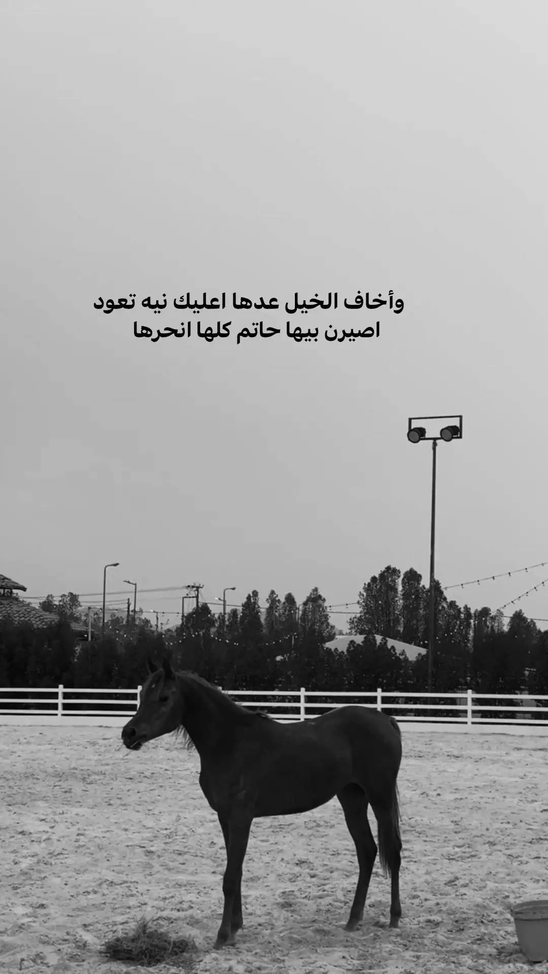 #عباراتكم #شعراء_وذواقين_الشعر_الشعبي🖤 