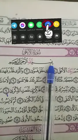 #islamic_video #catsoftiktok #fyp #viral #viralvideos 