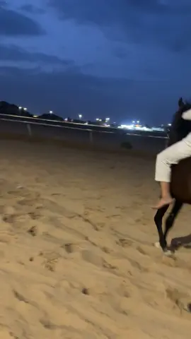 😂😂 .#نبراس #نجران #تصلال #مرعب #خيل_وخياله🐎 