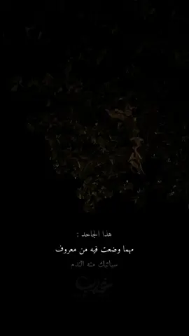 قناتي تليقرام بالبايو ✨🩶#دعمكم_لايك_ومتابعه_واكسبلور_حته_استمر 