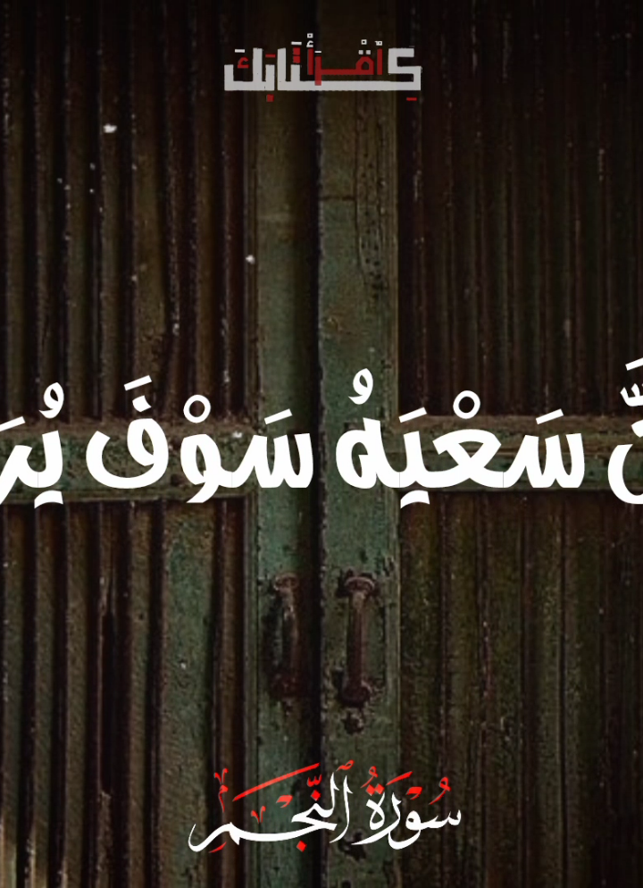 🦩| وَأَنْ لَيْسَ لِلْإِنْسَانِ إِلَّا مَا سَعَى 📻🤎 .  .  .  #قران #quran #الشيخ_محمد_السيد_ضيف 