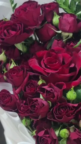 #مساء_الخميس #مساء_الخير #لحظة_فرح 