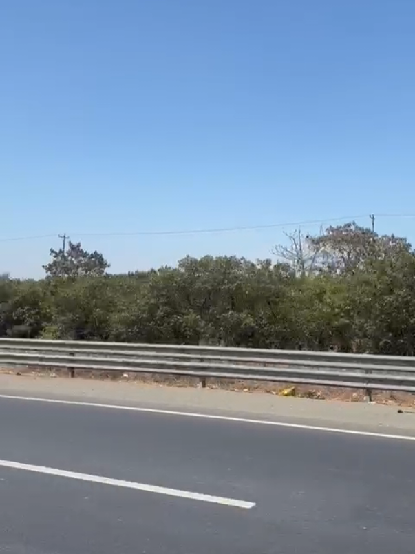 El nuevo Ecuador 🤦🏻‍♀️ #ecuador🇪🇨 #viral #viraltiktok #politica #ecuadortiktok 