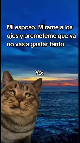🤞🏻Mírame tú y prométeme que me seguirías consintiendo #humor #comedia #videoschistosos #viraltiktok #parareir 