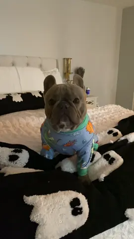 My little dragon in his dragon PJS 🐉 @SPARK PAWS              #dog #frenchbulldog #dogsoftiktok #fyp #spookyseason 