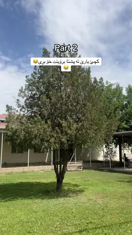 بچیە کولیە ئیدسرە وئیقتیساد چاوئت خۆ حیزنەکەوە😂😂تە هند دیت مسحید بن ئەیوانئ#foryoupage #foryou #xabat #شعب_الصيني_ماله_حل😂😂 #فەرماندە_خورشید_هەرکی👑💎🐅 #harki #فەرماندە #ئەکتیڤبن🥀🖤ـہہـ٨ــہ #هەرکی #هەولێر_سلێمانی_دەهۆک_ڕانیه_کەرکوک #خەباتەکەم❤هەولێر❤کورد❤کوردستان #kurdistan #topzawa #هەرکی_و_هەمی_دنیا #خەبات 