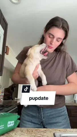 a lil pupdate (puppy update) on Suna 🐾 #adoptdontshop #puppy #Vlog #diml 