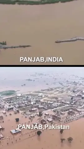 Deadly floods triggered by torrential rains sweep across Punjab in both India and Pakistan. Ongoing flood situation: At least 37  people dead in Punjab, India. Ongoing flood situation: 191 people dead in Punjab, Pakistan. Footage from recent days.