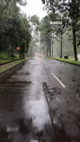 Punya kenangan apa dijalan ini ?😅#fypシ #karawang 