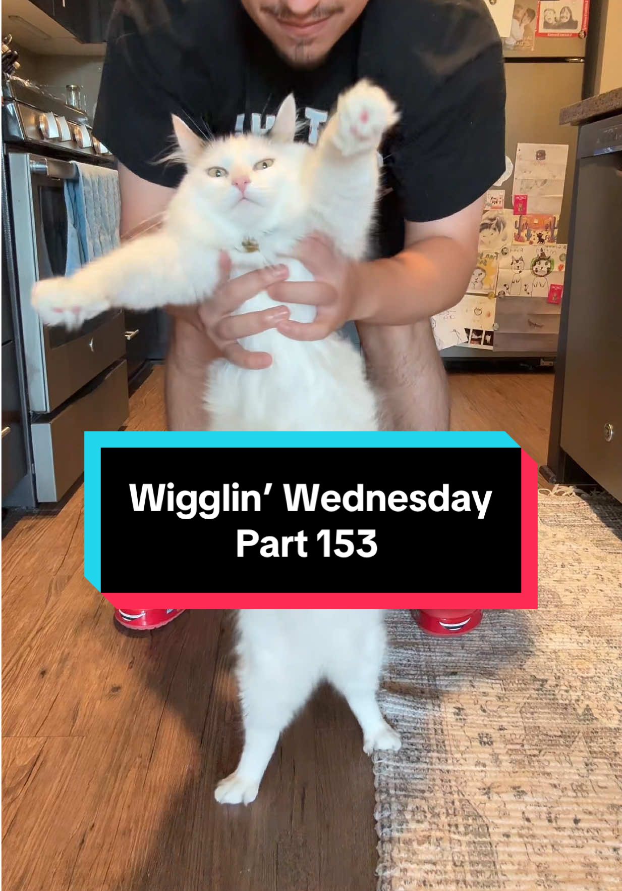 Wigglin’ Wednesday Part 153 🕺😶‍🌫️😈 the after-work dance party 🦭🔥 #cat #catsoftiktok #melonnfinn #fyp #dance 