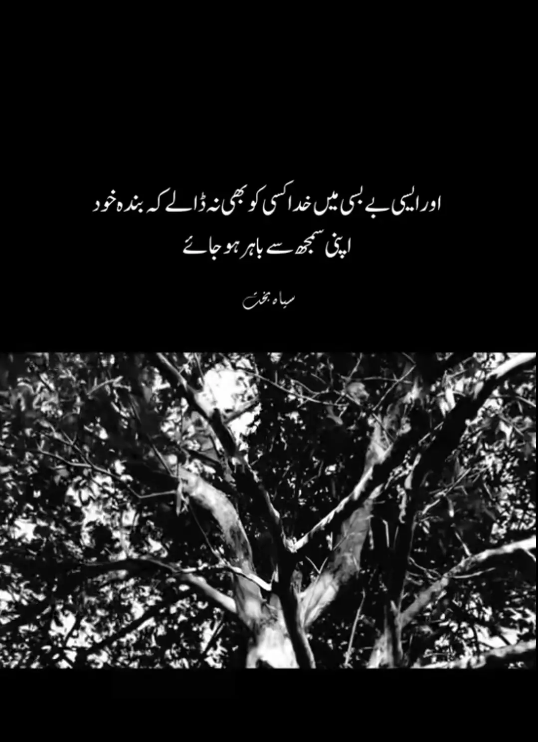زندگی میں ایسے لمحے ضرور آتے ہیں جنہیں لفظوں کے پیمانوں میں سمیٹنا ممکن نہیں رہتا۔ دل چاہتا ہے کہ سب کچھ کہہ دیا جائے، مگر لب خاموش رہتے ہیں۔ گویا اندر ایک ہنگامہ برپا ہے، لیکن باہر ہر سمت سکوت کا بسیرا ہے۔ یہ وہ کیفیت ہے جب انسان اپنے ہی جذبات کا اسیر بن جاتا ہے۔ راه حیات میں بے شمار رشتے ملتے ہیں۔ کچھ ہم قدم رہتے ہیں اور کچھ کہیں راستے میں ہی جدا ہو جاتے ہیں۔ مگر سب سے گہرا زخم تب لگتا ہے جب وہی لوگ جنہیں دل کی سچائی سے چاہا گیا ہو، ہماری کیفیت کو سمجھنے سے قاصر رہیں۔ یہ احساس کہ ہم نے اپنی تمام تر وابستگی کسی پر نچھاور کر دی مگر جواب میں فقط بے رخی اور خاموشی ملی روح کو اندر سے توڑ دیتا ہے۔ اکثر ایسا ہوتا ہے کہ انسان ہنستا ہے باتیں کرتا ہے، دوسروں کے دل بہلاتا ہے، لیکن اپنے باطن میں ایک ایسا بوجھ اٹھائے پھرتا ہے جسے کوئی آنکھ دیکھ نہیں سکتی۔ کبھی کبھی تو لگتا ہے اگر دل کا بوجھ آنسوؤں کی صورت بہا دیا جائے تو شاید قرار مل جائے، مگر آنکھیں بھی کبھی ضدی ہو جاتی ہیں اور آنسو پلٹ کر اندر ہی گھٹ جاتے ہیں۔ اصل اذیت یہی ہے کہ ہم زندہ ہیں سانس لیتے ہیں، چلتے پھرتے ہیں، لیکن باطن میں روز تھوڑا تھوڑا مر جاتے ہیں۔ اور یہ کرب کوئی نہیں جان پاتا، کوئی نہیں سمجھ پاتا۔ 🥺✨🖤
