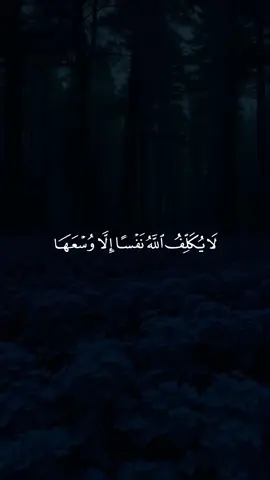 لا يكلف الله نفسآ الا وسعها #اية_الكرسي #quran #راحه_نفسيه #سعود_الفايز #قران 