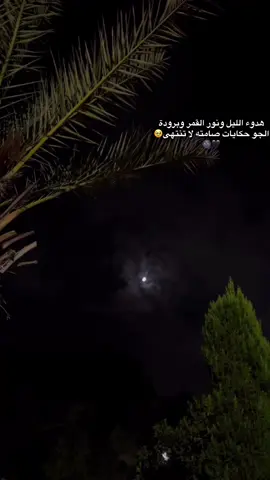 هدوء الليل ونور القمر وبرودة الجو حكايات صامته لا تنتهي 🖤🥺🌝