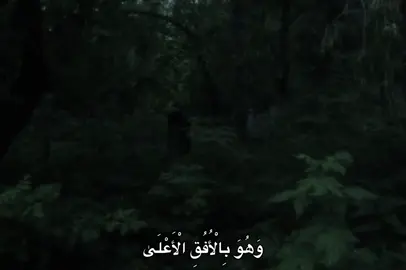 #محمد_صديق_المنشاوي #المنشاوي #fyp #quran #🎧 