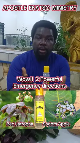 Wow!! Apostle Ekatso releases 2 very powerful directions for your Protection and Success against the dangers & negative energy ahead, and reveals deep secrets of spirituality.  #Spirituality #GAGAWUGAGA #AklasuMovement #EFFATA #GodIsHere 