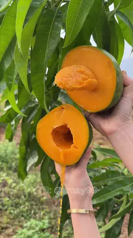 #cut #asmr #fruit #fruits #mango 